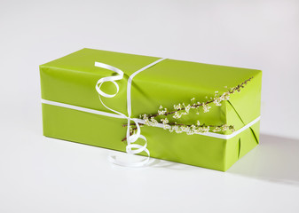 grünes Geschenk mit Zweig