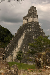 Fototapeta na wymiar Świątynia Majów, Tikal