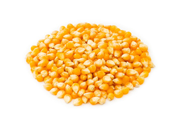 Corn seeds isolated on the white background