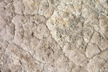 Dry ground