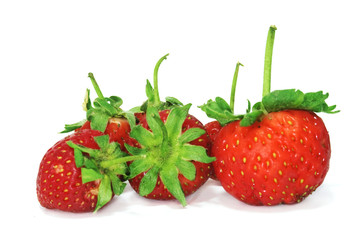 fresas