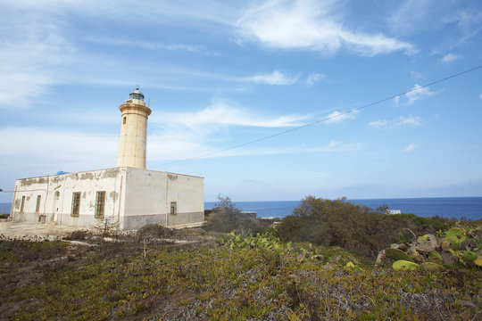 linosa