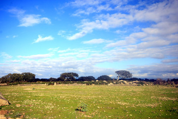 Obraz premium Sardegna,La piana di Gesturi a barumini.