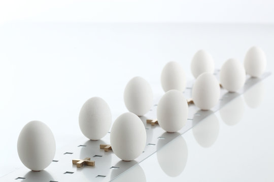 Eier_Huehnereier_weiss