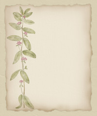 Torn Paper Flower Background 2
