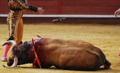 Muerte, terminó, detalle del puñal.
