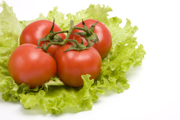 Group red tomato on leaf lettuce.