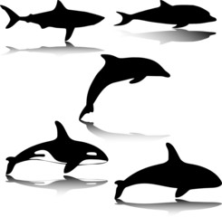 animal in sea illustration