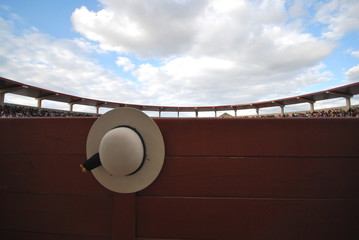 Detalle sombrero de picador, plaza del Descubrimiento.