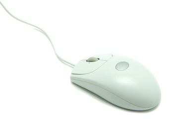 computer mouse