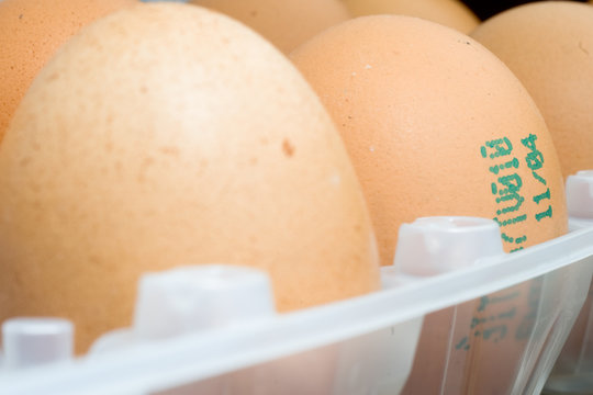 data di scadenza alimenti