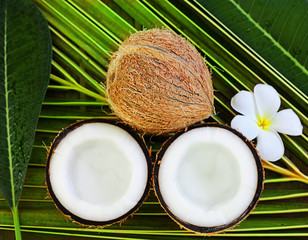 spa coconut