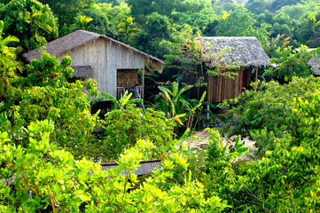 jungle huts