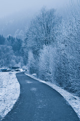 Schneelandschaft