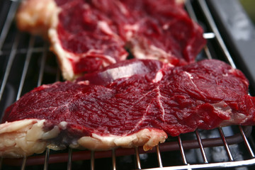 uncooked fresh red juicy meat close up