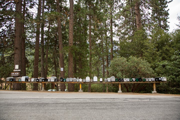 Sequoia National Park, Briefk&auml;sten am Strassenrand, roter Pfeil