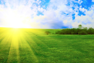 field and sun