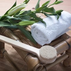 brosse pour soin de peau