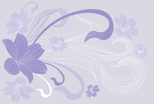 Contur of lilies on a  background