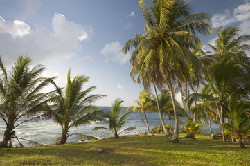 Obraz na płótnie Canvas tropical landscape big corn island nicaragua
