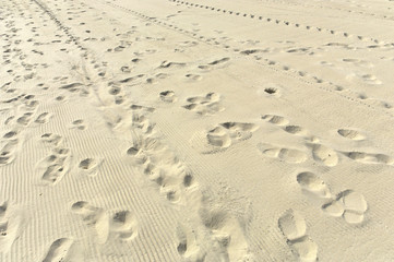Spuren im Sand