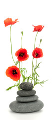 bien être - galet et coquelicots sur blanc - poppies © Olivier Le Moal