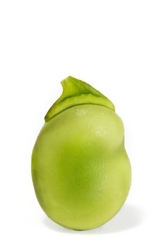 haba
