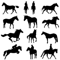 horse set