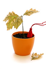 Baum mit Stecker