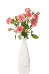 White vase with beautiful roses isolated on white