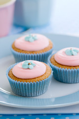 Pastel cupcakes
