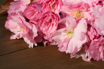Kirschblüten liegend auf einem Holztisch
