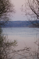 twilight - tree branches in front of the river