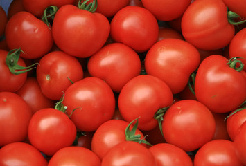 Tomatoes
