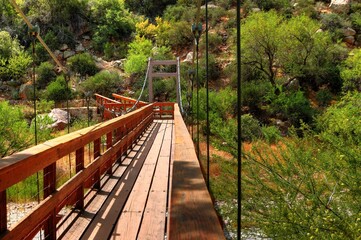 Foot Bridge