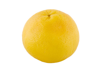 one grapefruit