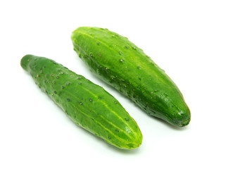 cucumber