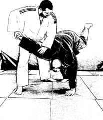 Aikido Training "Throwing - orange belt"