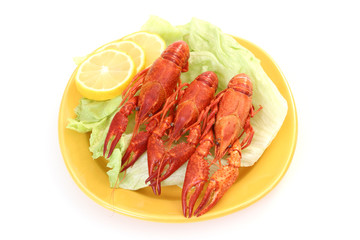 crawfish