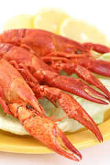 crawfish