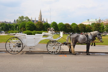 Fototapeta premium wien