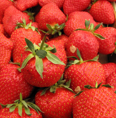 Strawberries perfect