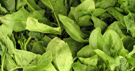 Spinach leaves