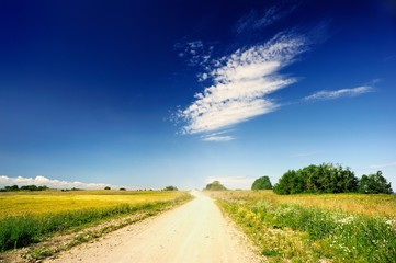 Naklejka premium Macadam Road