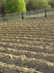 plowed field