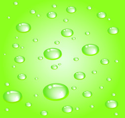 green drops. vector illustration.