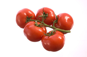 Tomaten