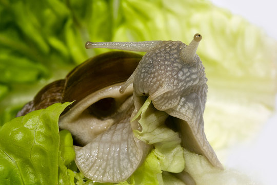 Mahlzeit