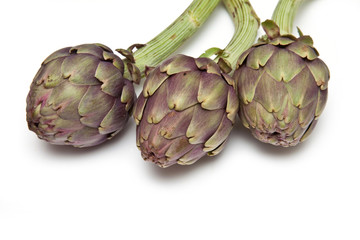 Italian Artichokes isolated ona white studio background.