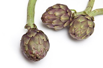 Fototapeta premium Italian Artichokes isolated ona white studio background.